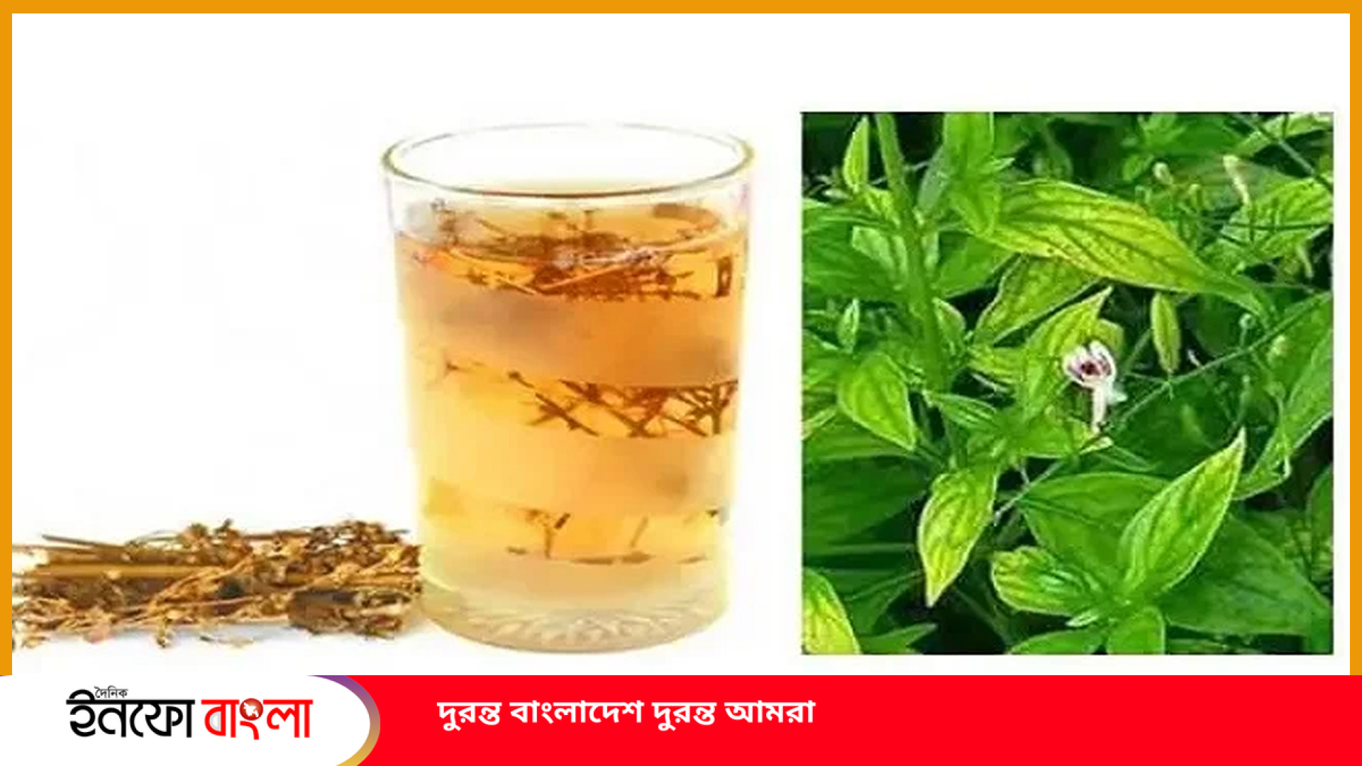 লিভার পরিষ্কার রাখবে এই জাদুকরী পানীয়